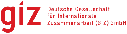 GIZ logo