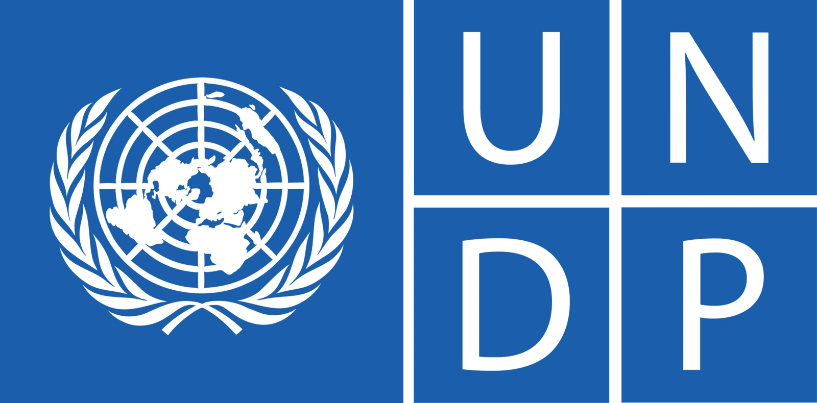 UNDP logo