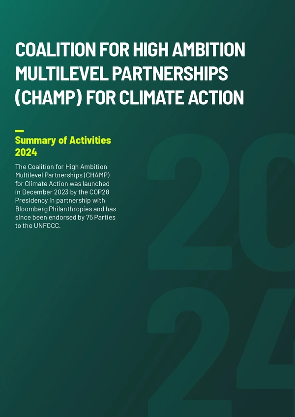 CHAMP Summary of Activities 2024
